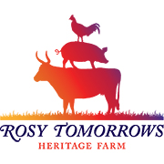 rosy-tomorrows-logo